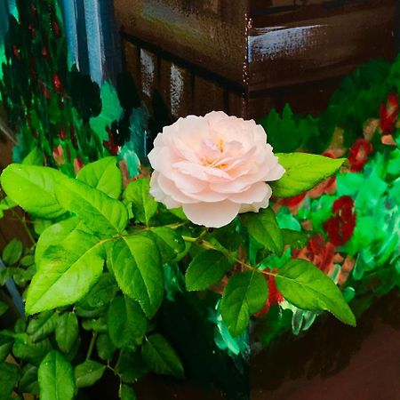 Gia Hung Motel ブンタオ エクステリア 写真